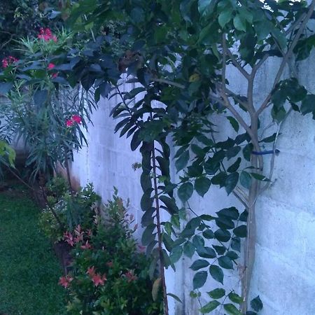 Umaya Holiday Home Anuradhapura Exterior photo