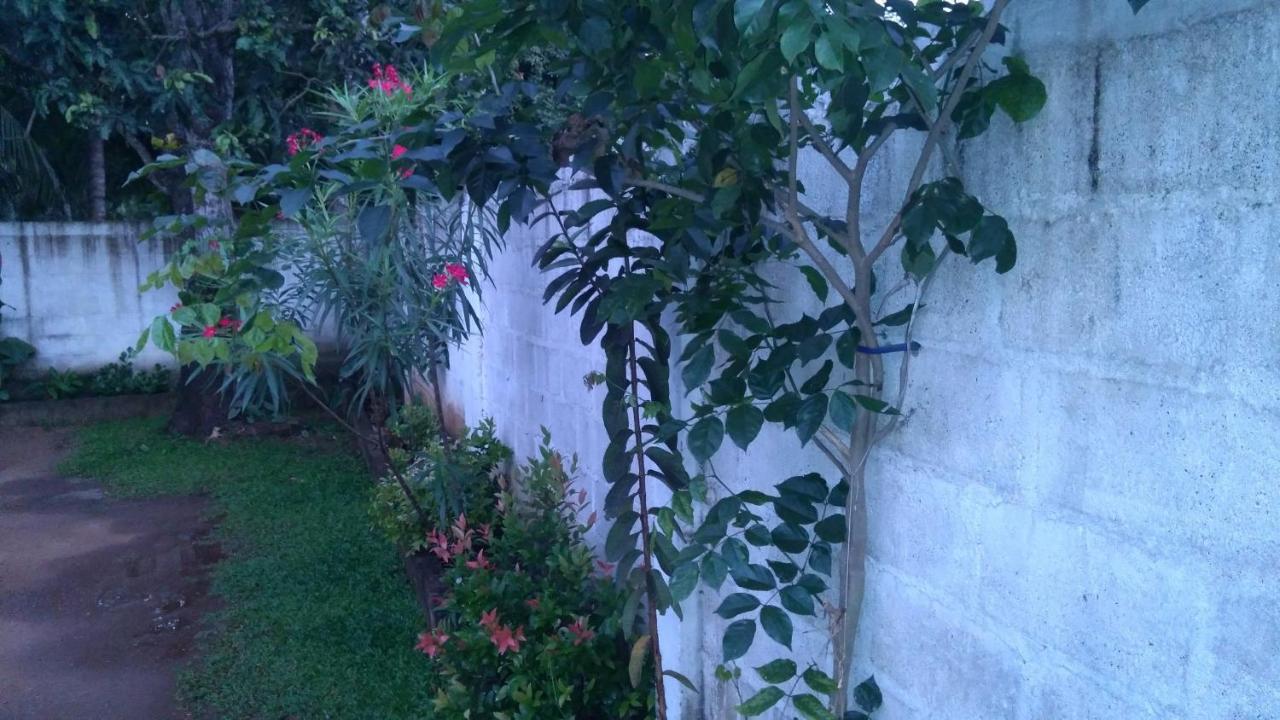 Umaya Holiday Home Anuradhapura Exterior photo